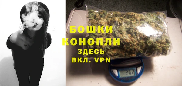 гидропоника Новозыбков