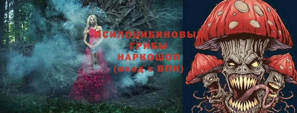тгк Новодвинск