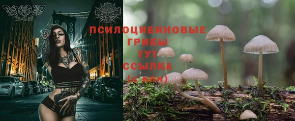 гидропоника Новозыбков