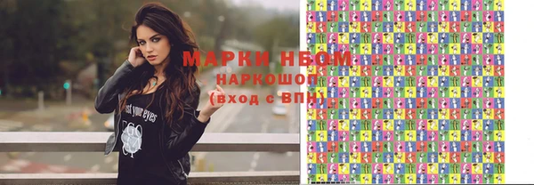 тгк Новодвинск
