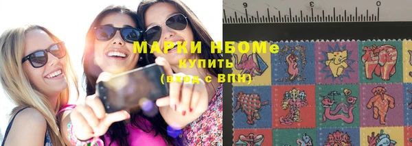сатива Нефтекумск
