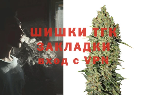 гидропоника Новозыбков