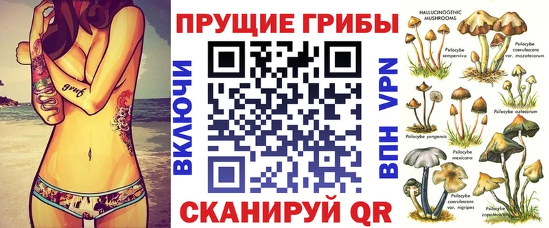 Галлюциногенные грибы Cubensis  Калтан 