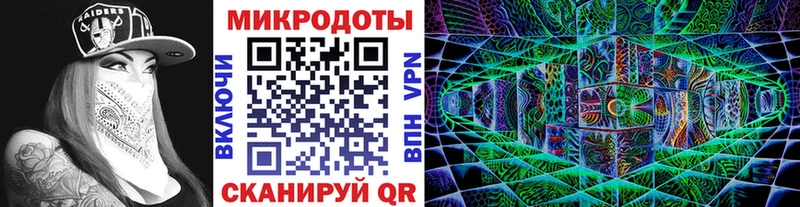 Галлюциногенные грибы Psilocybine cubensis Калтан